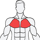 musclewiki免费app