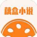 藕盒小说2024
