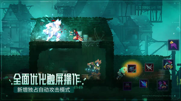 重生细胞Dead cells