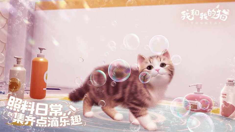 我和我的猫安卓版免费